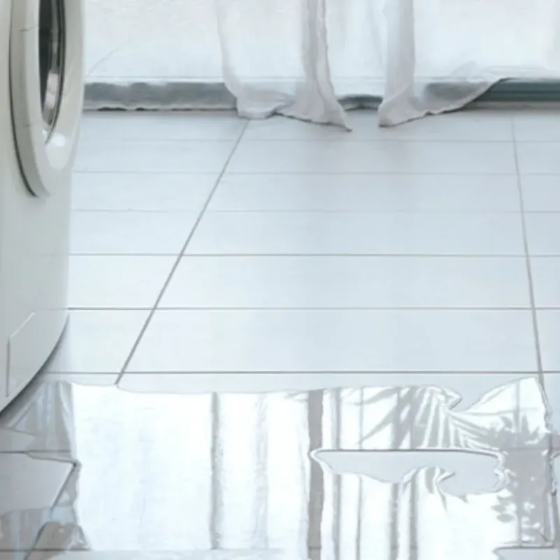 Appliance Leak Cleanup in Alexandria, NH