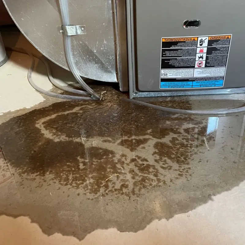 Pipe Burst and Leak Restoration in Alexandria, NH
