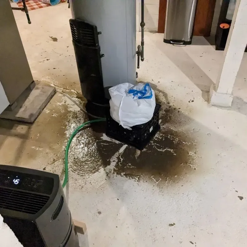 Sewage Backup Cleanup Service in Alexandria, NH